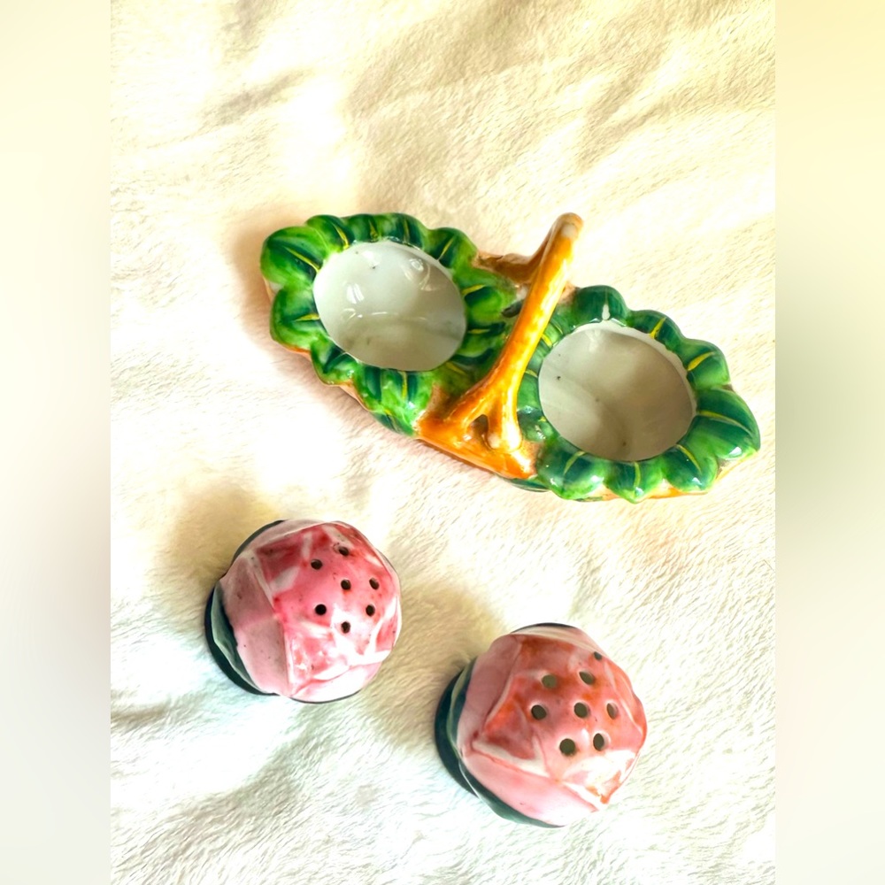 💲⬇️⬇️🎄Rare Antique Rose Petal Salt and Pepper Shakers wCaddy.Hand Painted